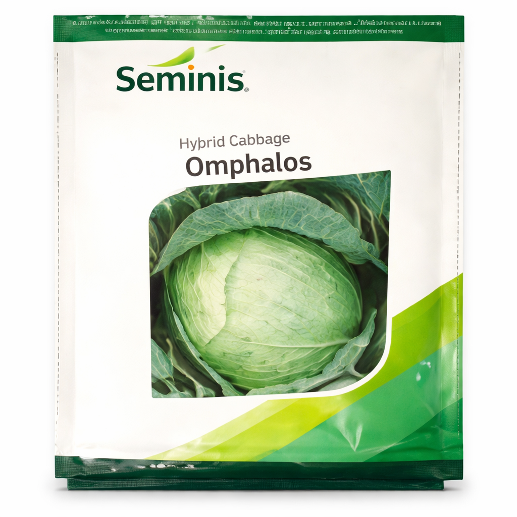 Omphalos Cabbage Seeds