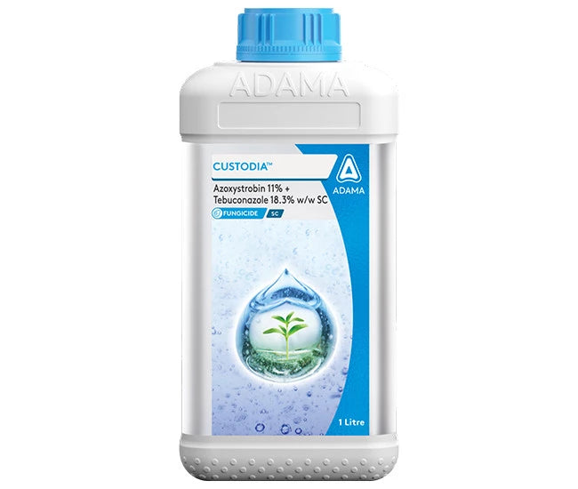 Custodia Fungicide Azoxystrobin 11% Tebuconazole 18.3% SC
