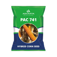 PAC-741 Maize Seeds
