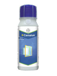 Camalus Insecticide