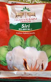 Siri NCS-927 Cotton Seeds