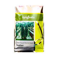 Syngenta Vallav Bitter Gourd Seeds