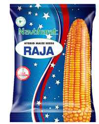 Raja Maize Seeds