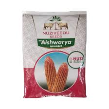 NMH-8449 Aishwarya Maize Seeds