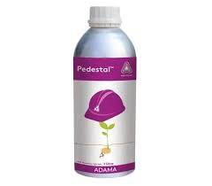 Pedestal Insecticide (Novaluron 10% EC)