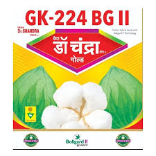 GK-224 Chandra Gold Cotton Seeds