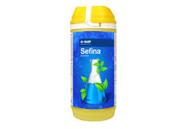 Sefina Insecticide Afidopyropen 50 g/L DC