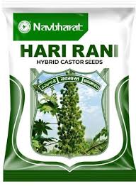 Hari Rani Hybrid  Castor Seeds