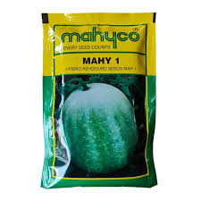 Mahy 1 Ash Gourd Seeds
