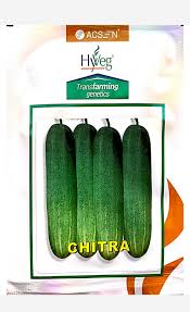 Chitra Cucumber Seeds