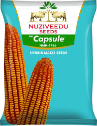 NMH-4786 Capsule Maize Seeds