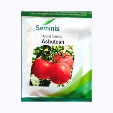 Ashutosh Tomato Seeds