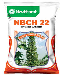 NB-22 Hybrid Castor Seeds