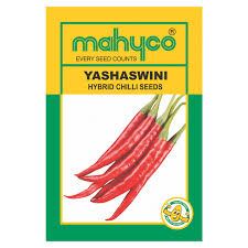 Yashaswini Chilli Seeds