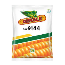 DKC-9144 Maize Seeds