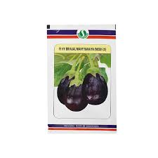 Mahy Ravaiya MEBH-39 Brinjal Seeds