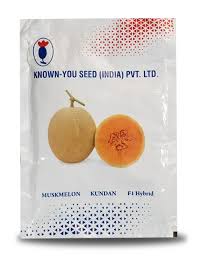 Kundan F1 Hybrid Muskmelon Seeds