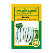 Mahyco MHSN F1 Hybrid Snake Gourd Seeds