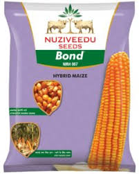 NMH-007 Bond Maize Seeds