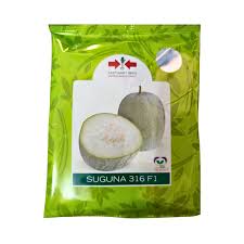 Suguna 396 F1 Ash Gourd Seeds