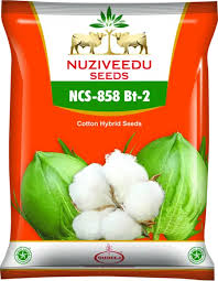 Vijetha NCS-858 Cotton Seeds