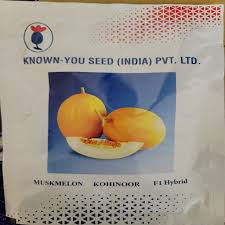 Kohinoor Muskmelon Seeds