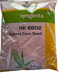 6802 Plus Maize Seeds