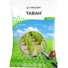 Tabah Herbicide (Oxadiargyl 80% WP)
