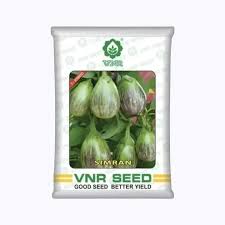 Simran F1 Hybrid Brinjal Seeds