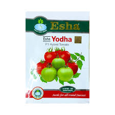 Yodha Tomato Seeds