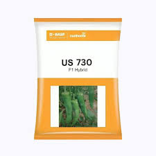 US 730 Chilli Seeds