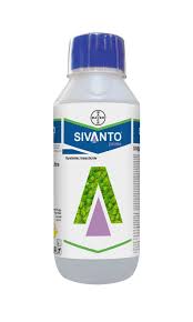 Sivanto Prime Insecticide