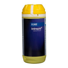 Intrepid Insecticide Chlorfenapyr 10% SC