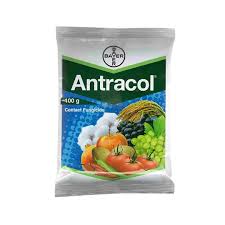 Antracol Fungicide