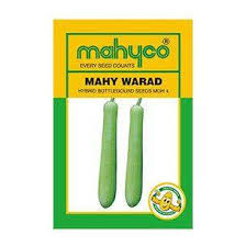 Mahy MGH-4 Warad Bottlegourd Seeds