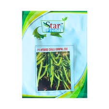 202 F1 Hybrid Dimple Chilli Seeds