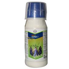 Belt Expert Insecticide