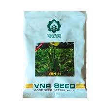 VNR VBH 11 Bhendi Seeds
