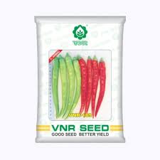 VNR 109 F1 Hybrid Chilli Seeds