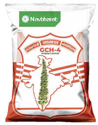 GCH-4 Hybrid Castor Seeds