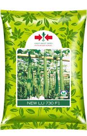 New LU 730 F1 Ridge Gourd Seeds