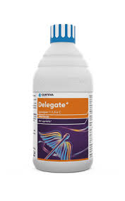 Delegate Insecticide Spinetoram 11.7% SC