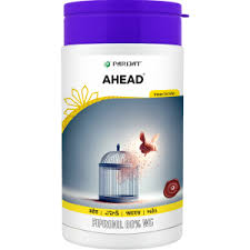 Ahead Insecticide (Fipronil 80% WG)