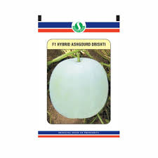 Drishti Ash Gourd Seeds