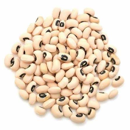 Cyguns Saranya Cowpea Seeds