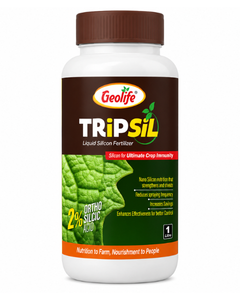 Geolife Tripsil Fertilizer