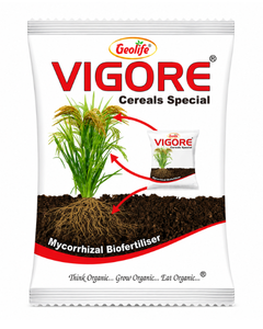 Geolife Vigore Cereal Special Bio Fertilizer
