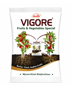 Geolife Vigore Fruits & Vegetables Special Biofertilizer