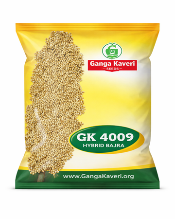 GK-4009 Jowar Seeds