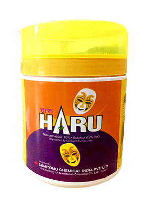 Haru Fungicide (Tebuconazole 10% + Sulphur 65% WG)